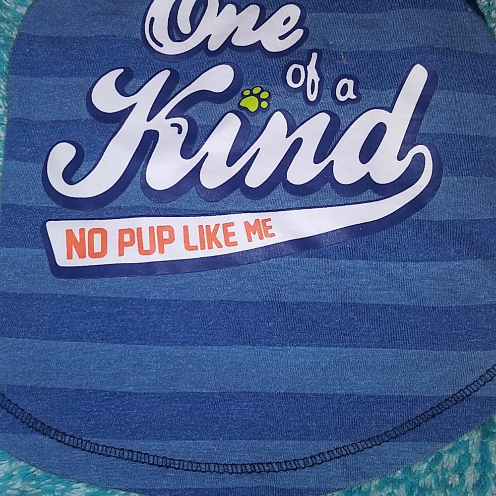 Pooch Apparel
